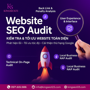 Tầm quan trọng của audit website